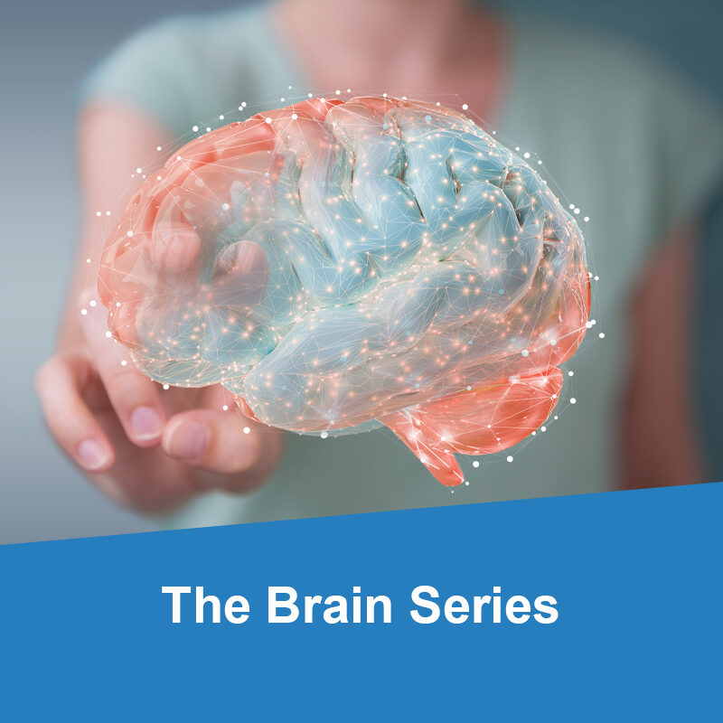 The Brain Series