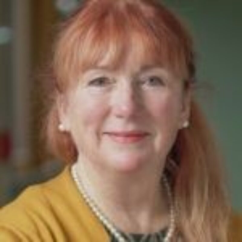 Homeopathic Practitioner Tool Kit - 1 Day Workshop