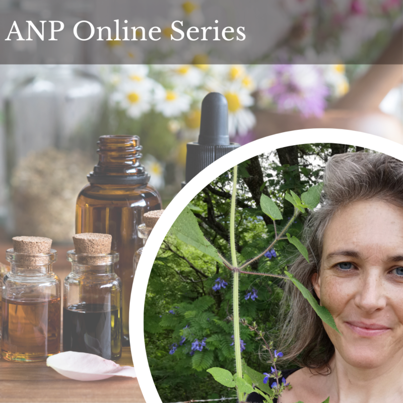 The 12 Healers of Bach Flower Remedies for the Naturopathic Practice