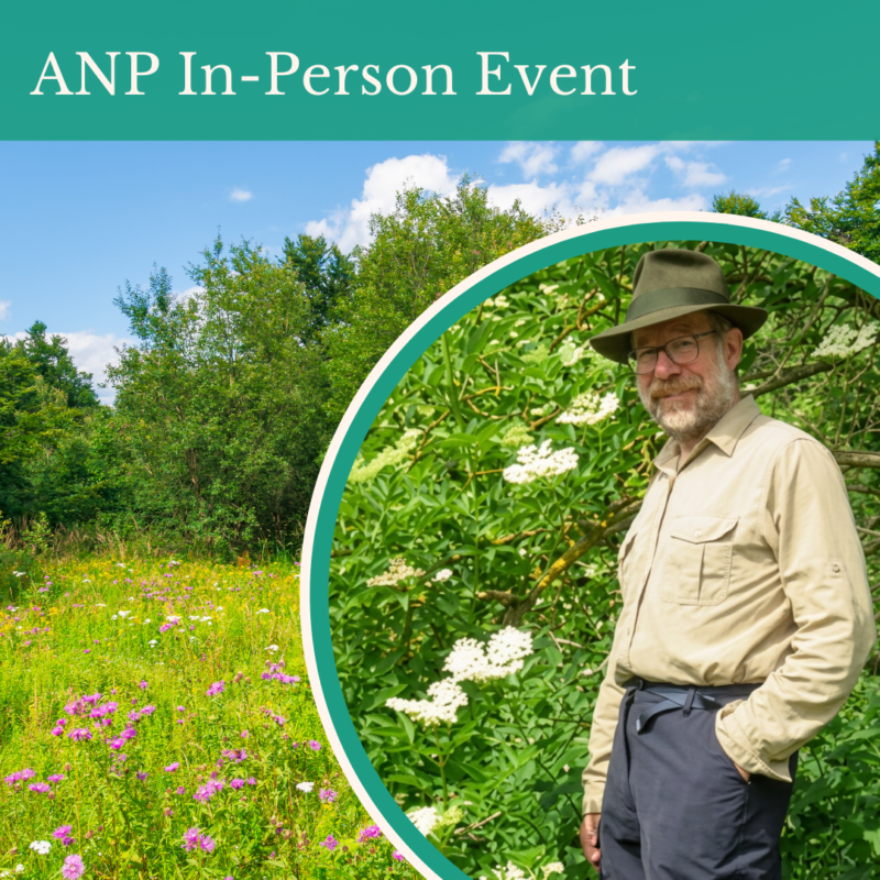 Medicinal Herbal Walk, with Lee Leatham