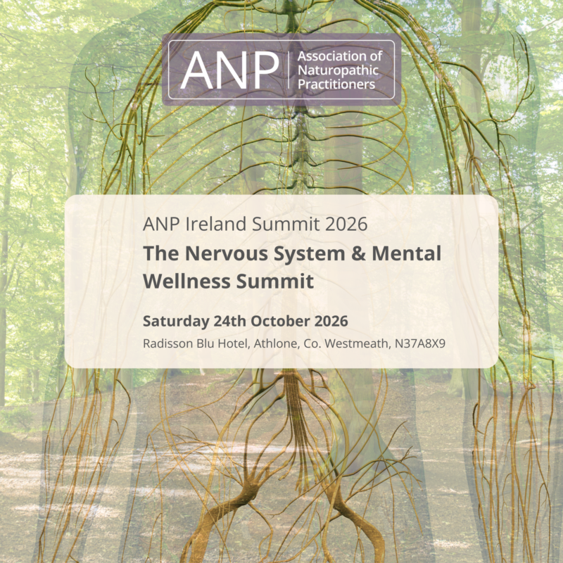 The ANP Ireland Summit 2026